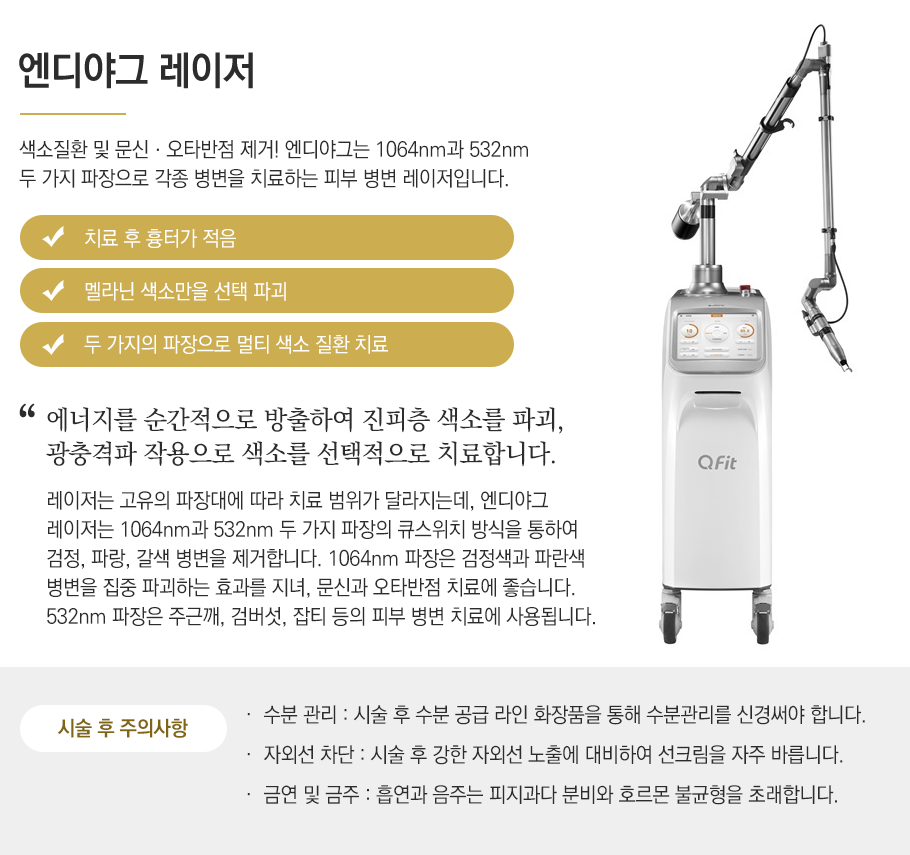 엔디야그 레이저
