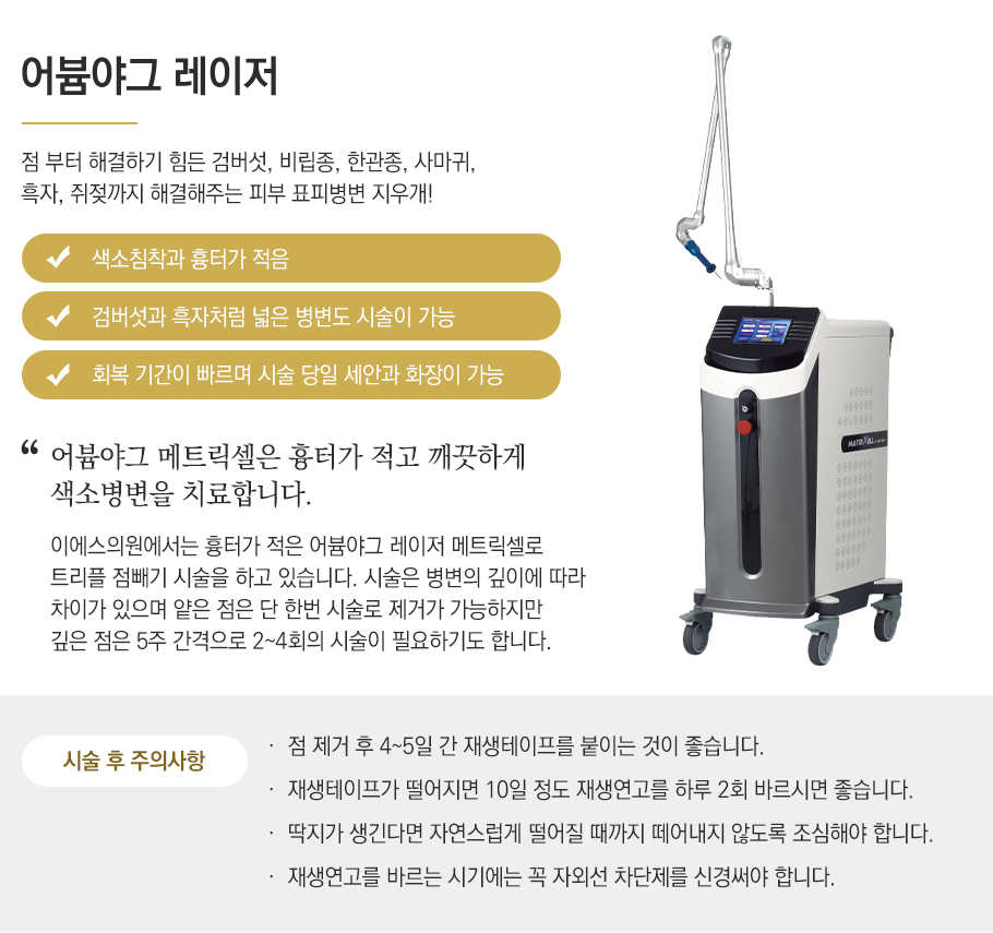 어븀야그 레이저