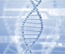 DNA 이중나선을 표현한 3D 메디컬 일러스트