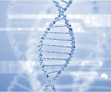 푸른 톤으로 렌더링된 DNA 이중나선 3D 그래픽